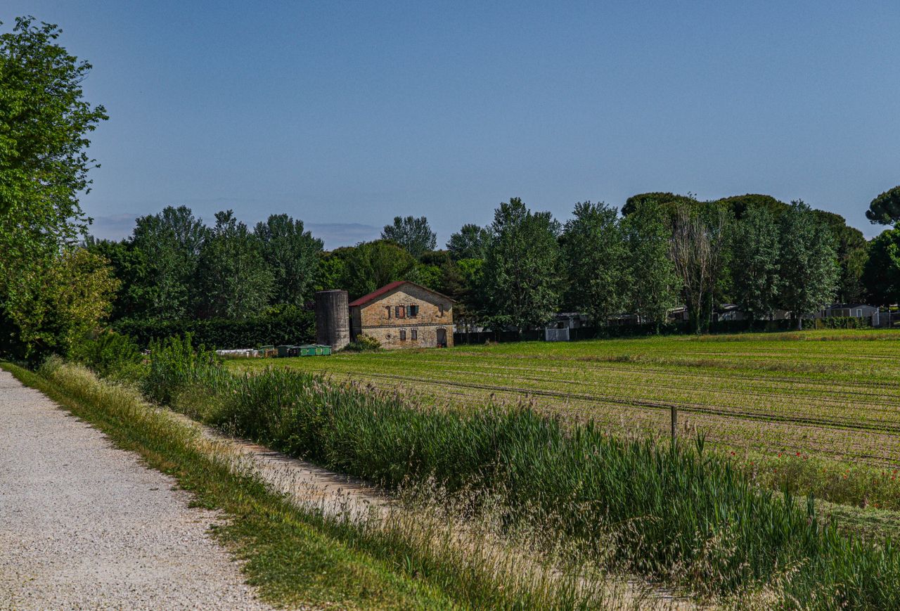Charming rural farmhouse surrounded by lush fields and trees, under clear blue skies.