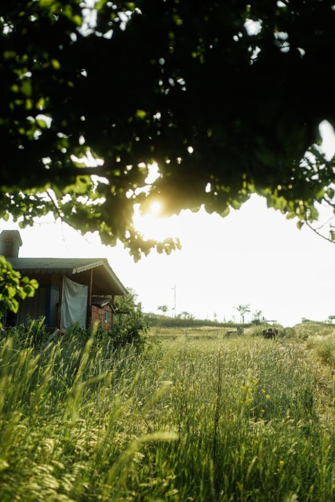 Serene countryside view featuring a small hut and lush green fields in sunlight.